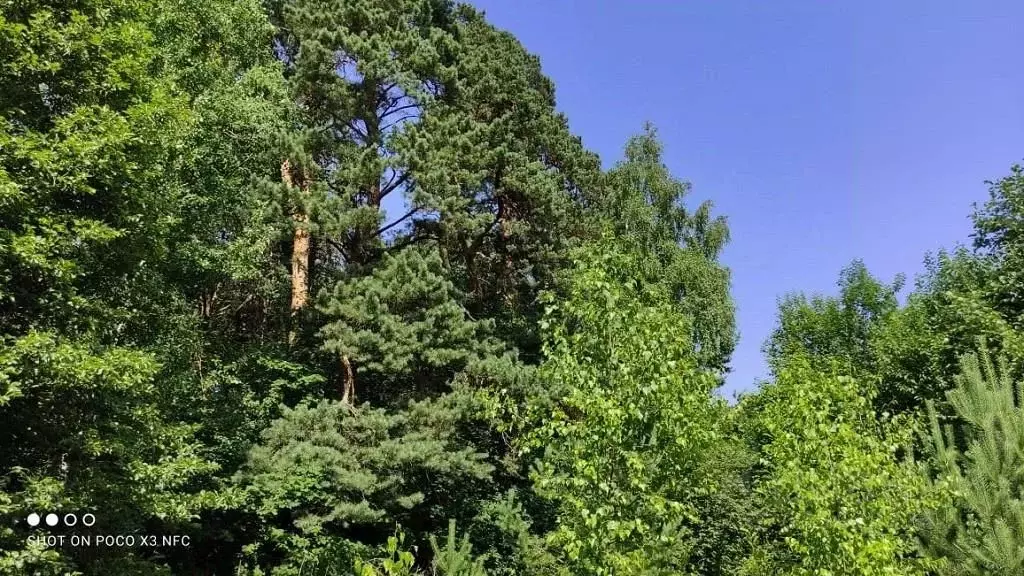 Участок в Московская область, Одинцовский городской округ, д. ... - Фото 2