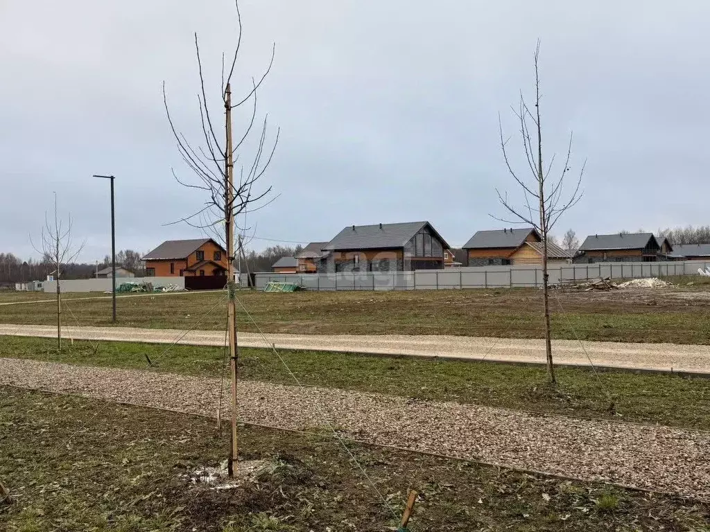 Участок в Калужская область, Совхоз Боровский с/пос, Кириллово парк кп ... - Фото 2