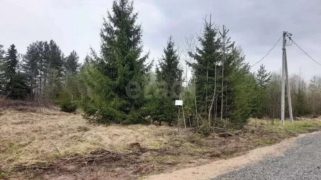 Участок в Вологодская область, Великоустюгский муниципальный округ, д. ... - Фото 1