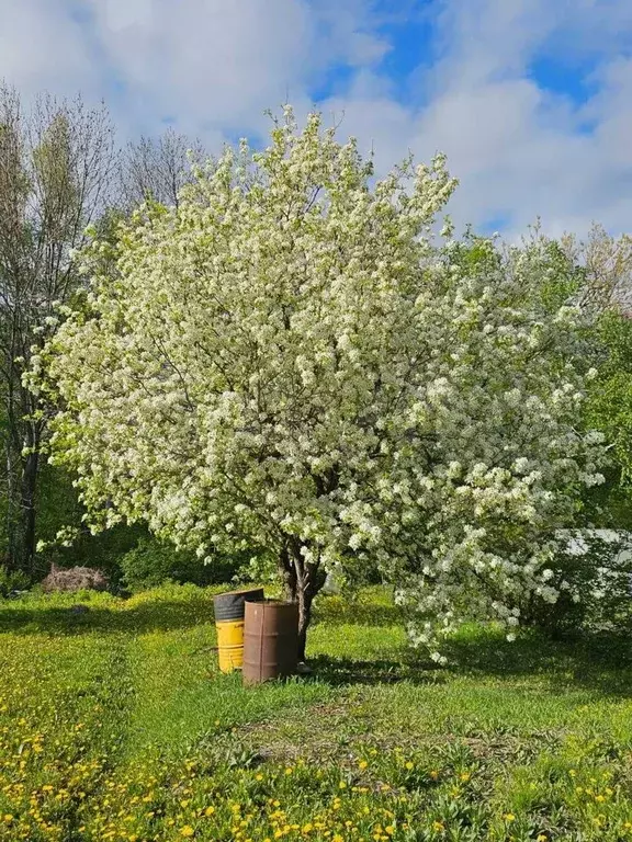 Дача 25 м на участке 13 сот. - Фото 0