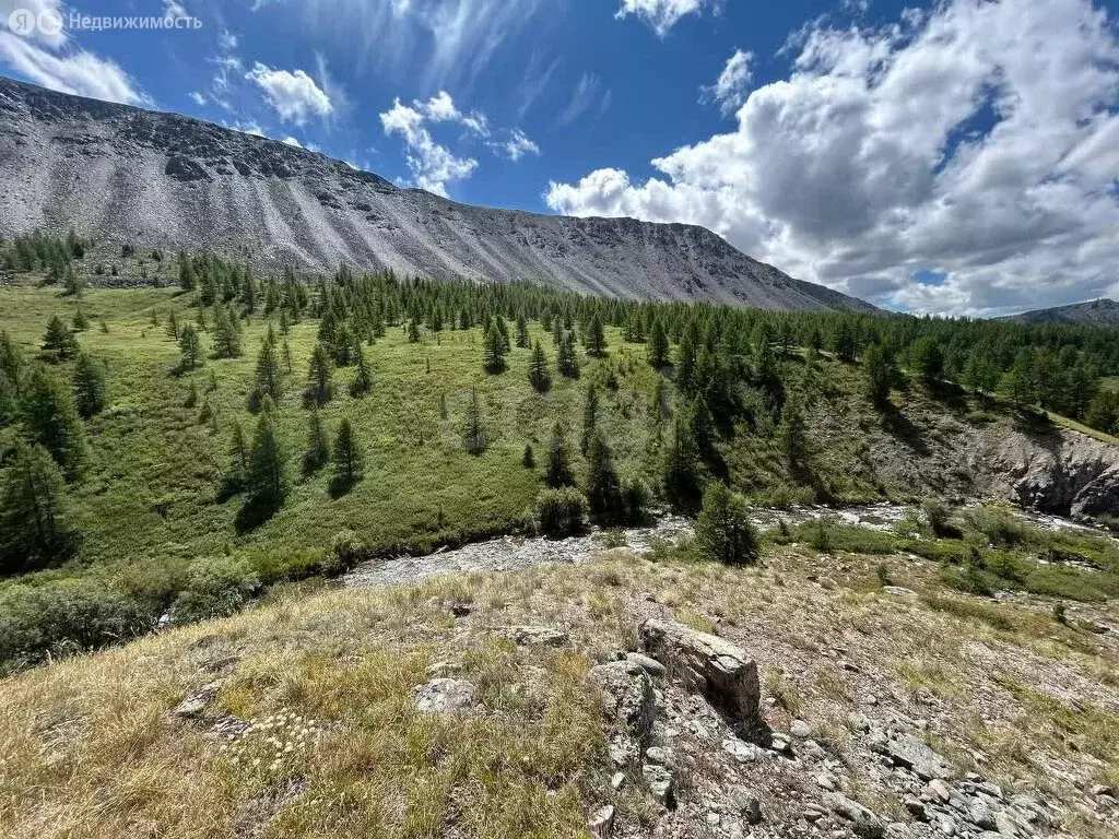 Участок в Кош-Агачский район, Джазаторское сельское поселение, село ... - Фото 2
