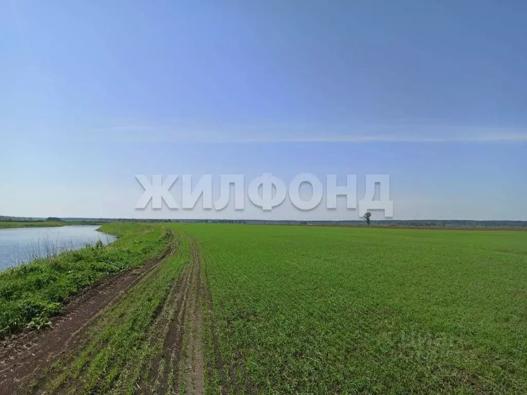 Участок в Томская область, Томск Источная ул. (2480.0 сот.) - Фото 0