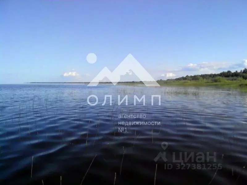 Участок в Вологодская область, д. Новое (Борисовский сельсовет)  (29.0 ... - Фото 2