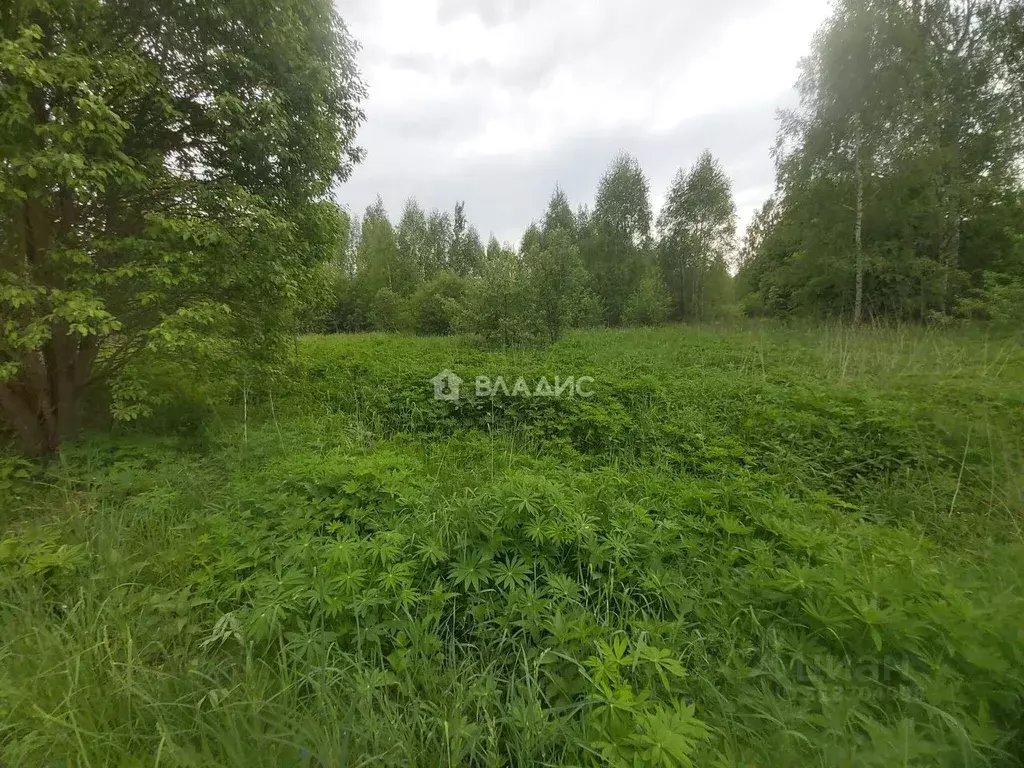 Участок в Владимирская область, Камешковский район, Вахромеевское ... - Фото 0
