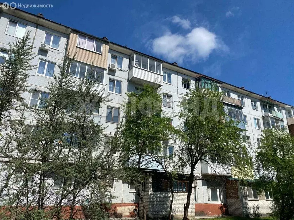 1-комнатная квартира: Брянск, улица Чернышевского, 62 (22.5 м) - Фото 1