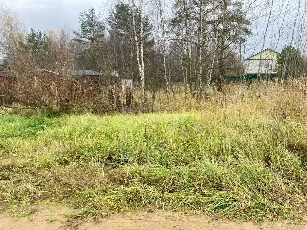 Участок в Нерехтский район, Воскресенское сельское поселение, посёлок ... - Фото 1