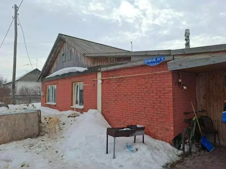 Коттедж в Омская область, Одесский район, с. Лукьяновка Новая ул., 11 ... - Фото 0