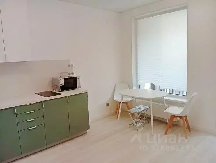 Студия Санкт-Петербург Дальневосточный просп., 19к1 (25.0 м) - Фото 1
