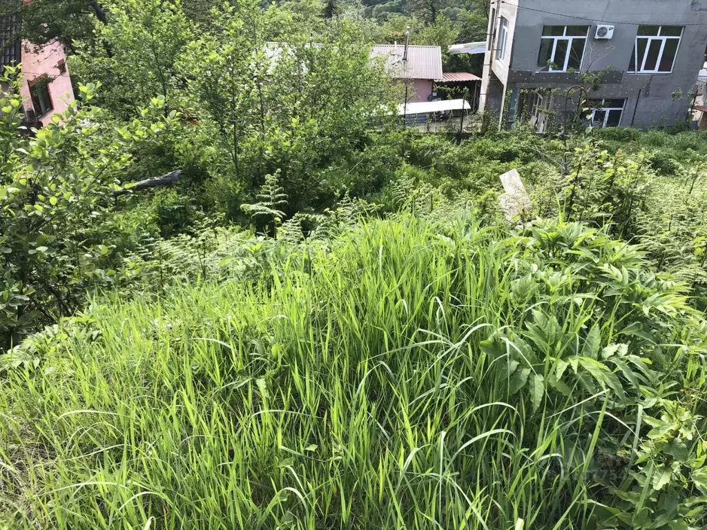 Участок в Краснодарский край, Сочи городской округ, с. Высокое, Искра ... - Фото 2