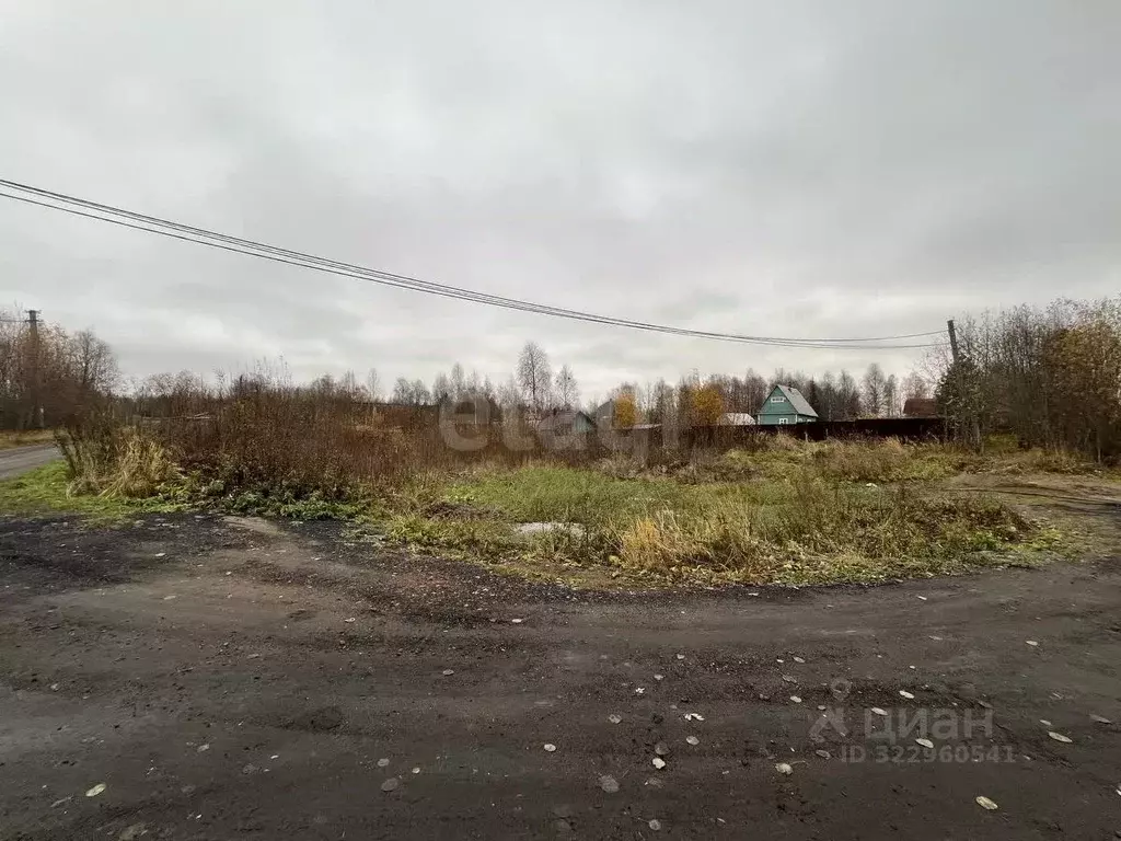 Участок в Архангельская область, Приморский муниципальный округ, ... - Фото 0