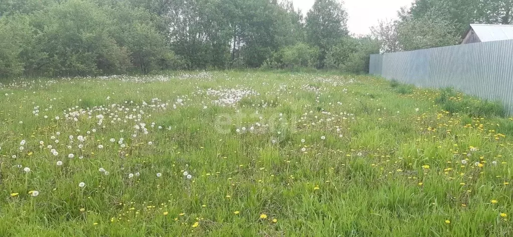 Участок в Московская область, Коломна городской округ, пос. . - Фото 1