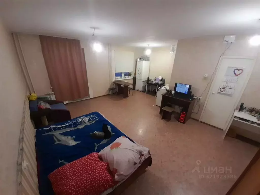 Студия Омская область, Омск ул. 12 Декабря, 1к1 (33.0 м) - Фото 0