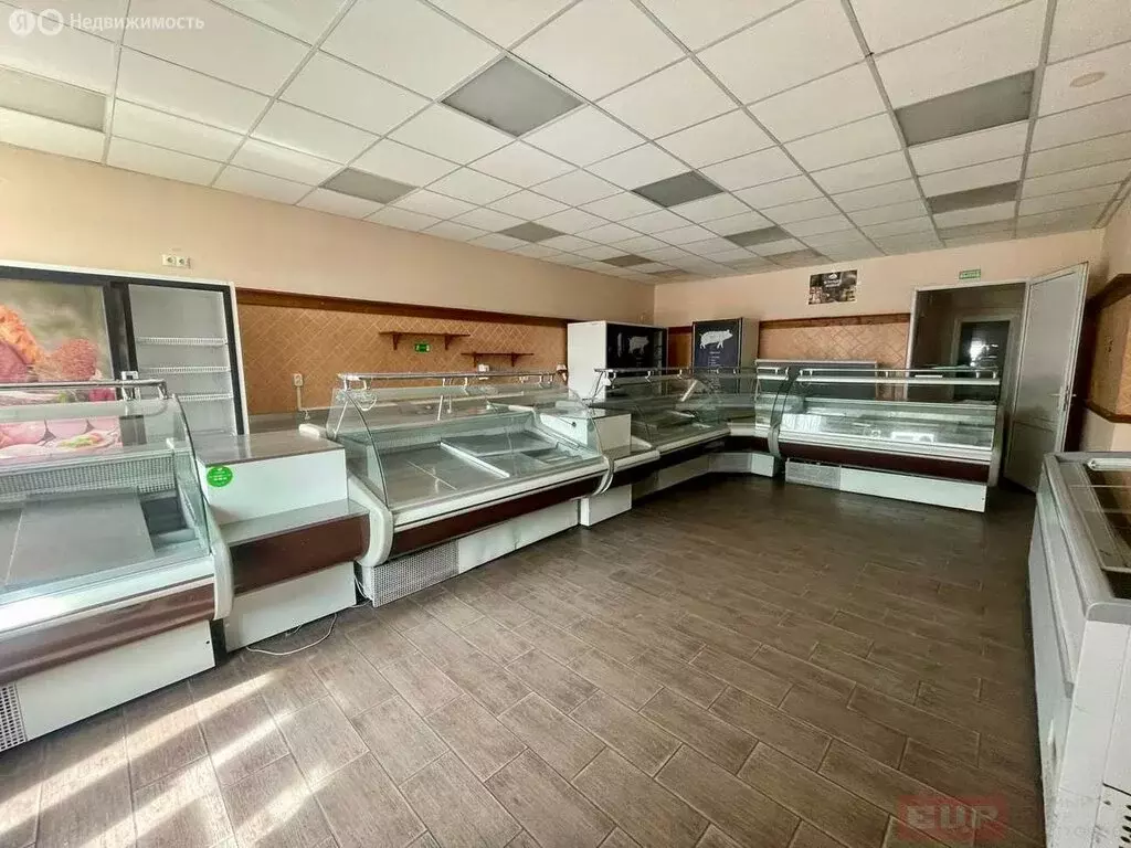 Помещение свободного назначения (4.6 м) - Фото 1