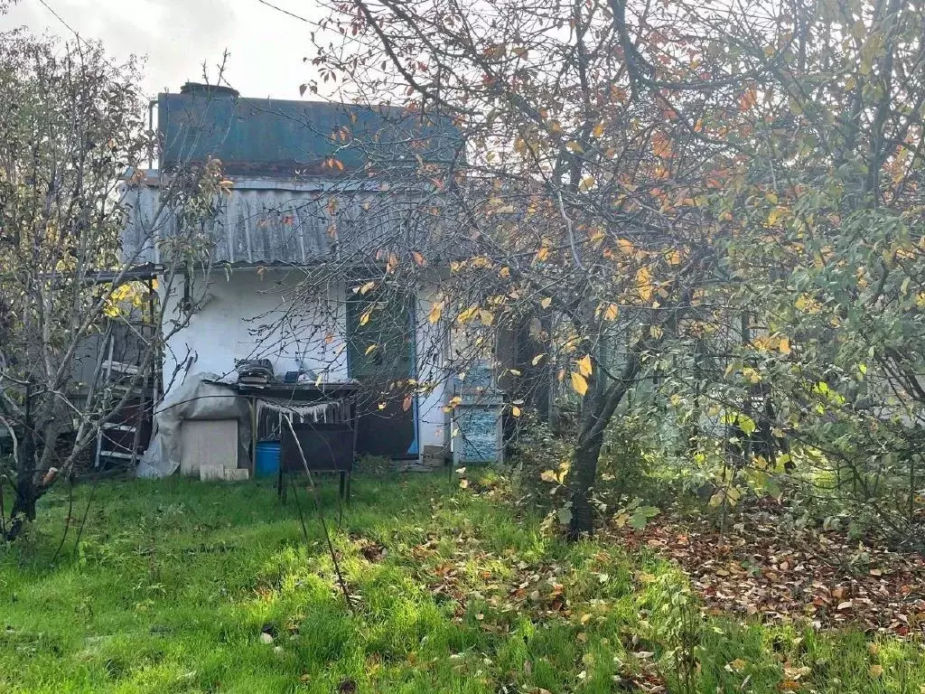 Дом в Севастополь Медик-1 садоводческое товарищество, 3 (43 м) - Фото 2