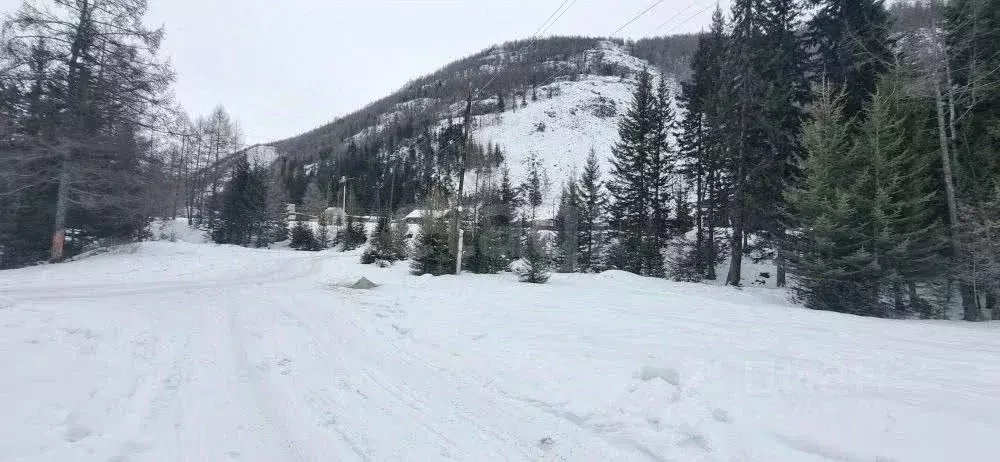 Участок в Алтай, Улаганский район, с. Акташ  (15.0 сот.) - Фото 1