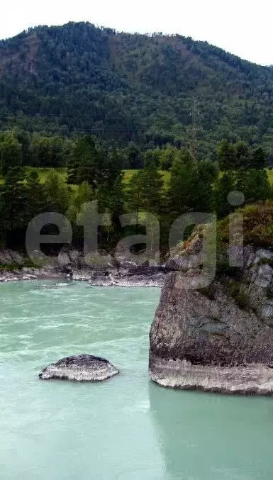 Участок в Чемальский район, село Анос (15 м) - Фото 2
