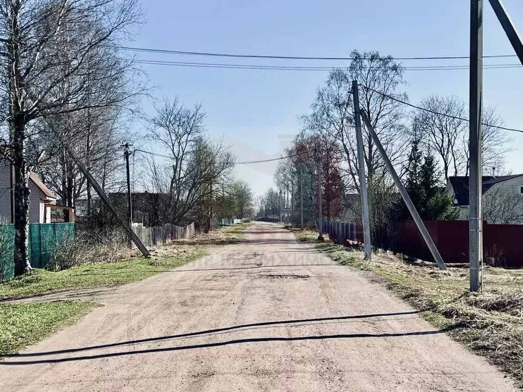 Участок в Ленинградская область, Волосовский район, Клопицкое с/пос, ... - Фото 0