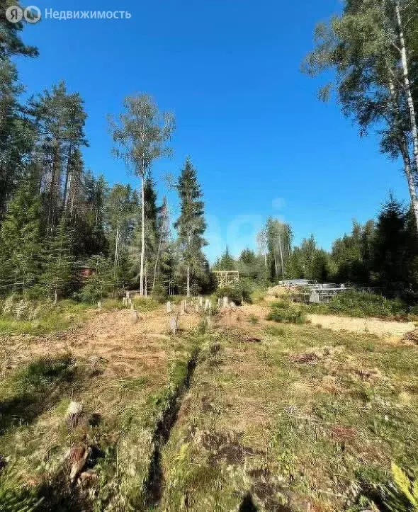 Участок в Сарженка, ДНП Лесной Хутор (12 м) - Фото 1