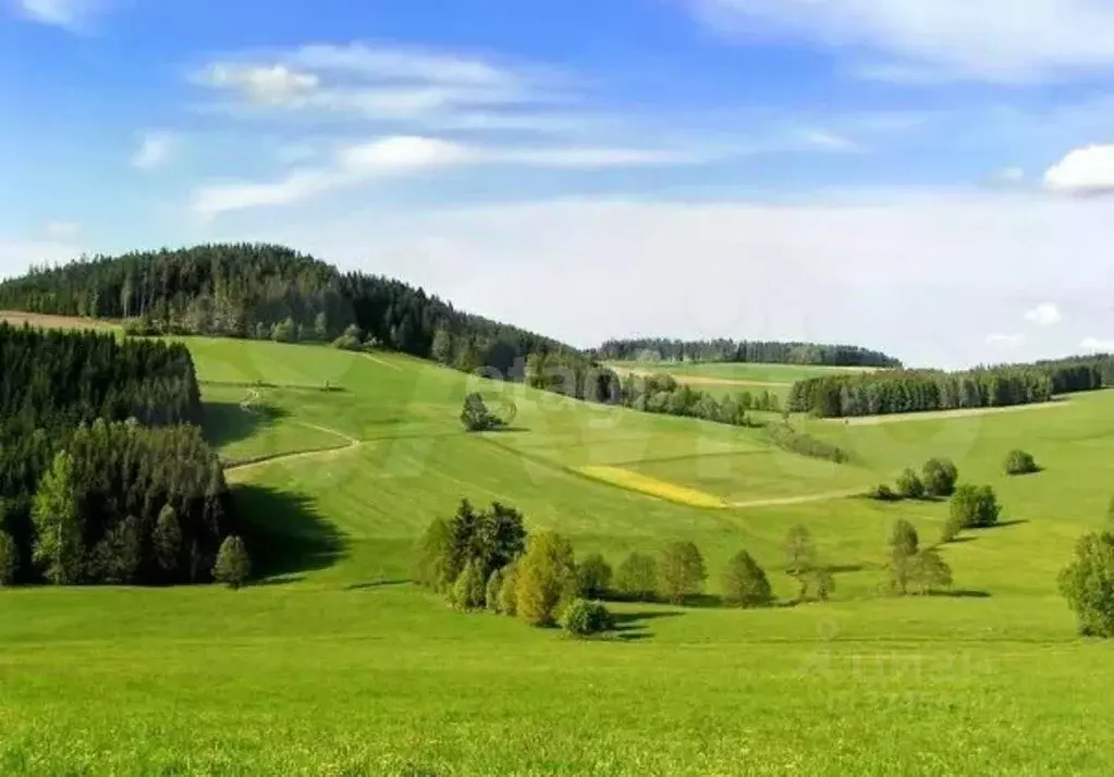 Участок в Калужская область, Дзержинский муниципальный округ, Совхоз ... - Фото 1