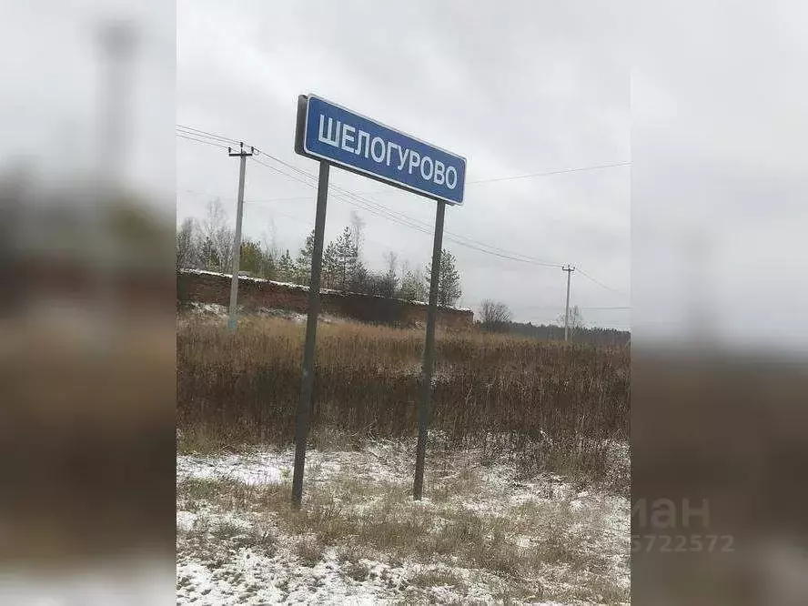 Участок в Московская область, Шатура муниципальный округ, д. ... - Фото 1