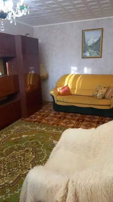 2-к кв. Новосибирская область, Новосибирск Академгородок мкр, ул. ... - Фото 1