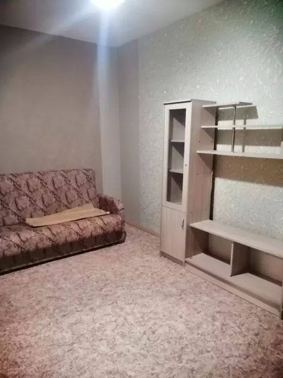 1-к кв. Томская область, Томск просп. Ленина, 210 (26.0 м) - Фото 1