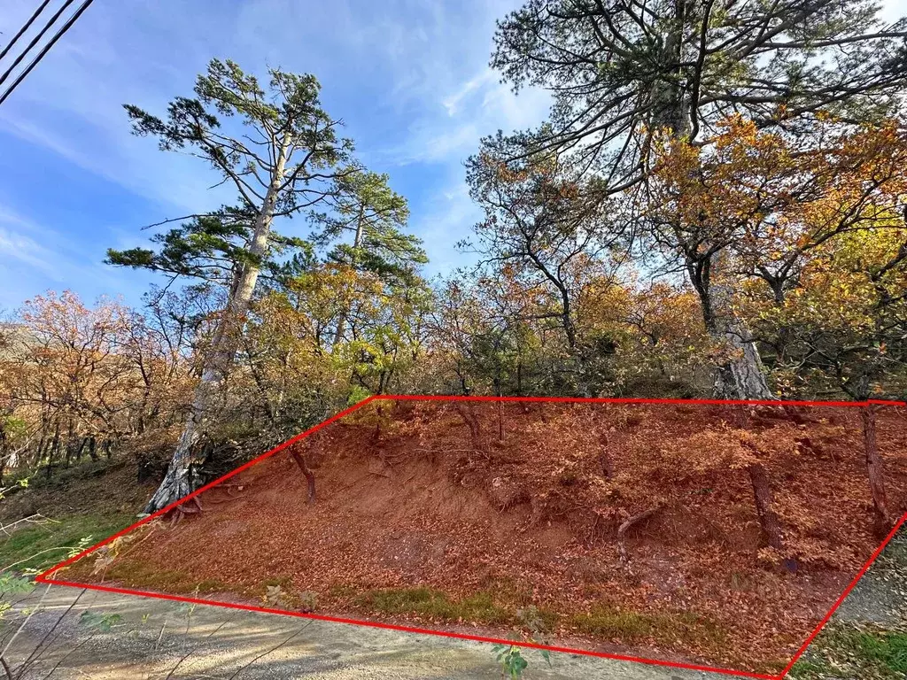 Участок в Крым, Ялта муниципальный округ, Массандра пгт  (1.6 сот.) - Фото 1