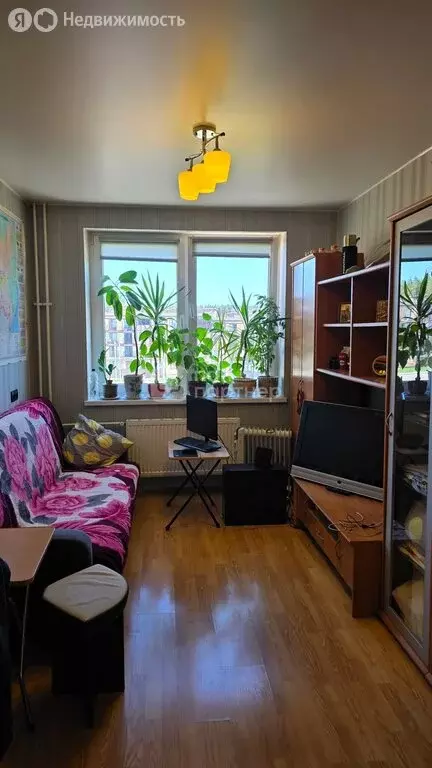 Квартира-студия: Сертолово, Пограничная улица, 4к1 (20.5 м) - Фото 2