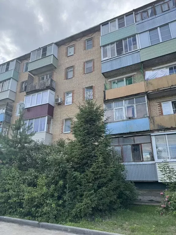 1-к кв. Московская область, Шатура ул. Строителей, 2 (21.0 м) - Фото 1