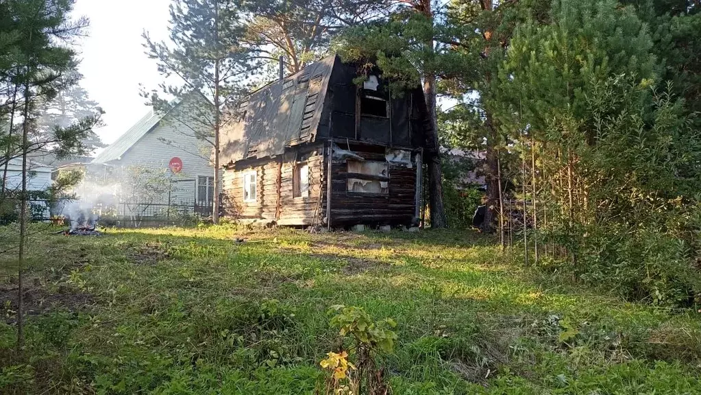 Дом в Новосибирская область, Мошковский район, Парус СНТ  (60 м) - Фото 1