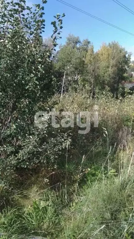 Участок в Красноярский край, Красноярск Родничок-2 СНТ, 4 (8.5 сот.) - Фото 1