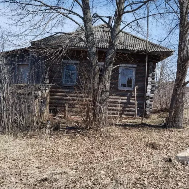 Дом в Пермский край, Ильинский городской округ, с. Васильевское ул. ... - Фото 1