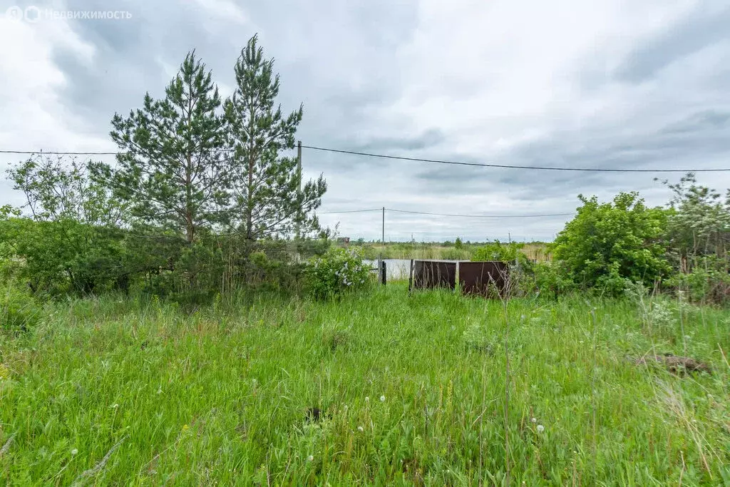 Участок в Пушкинское сельское поселение, деревня Ракитинка, ... - Фото 1