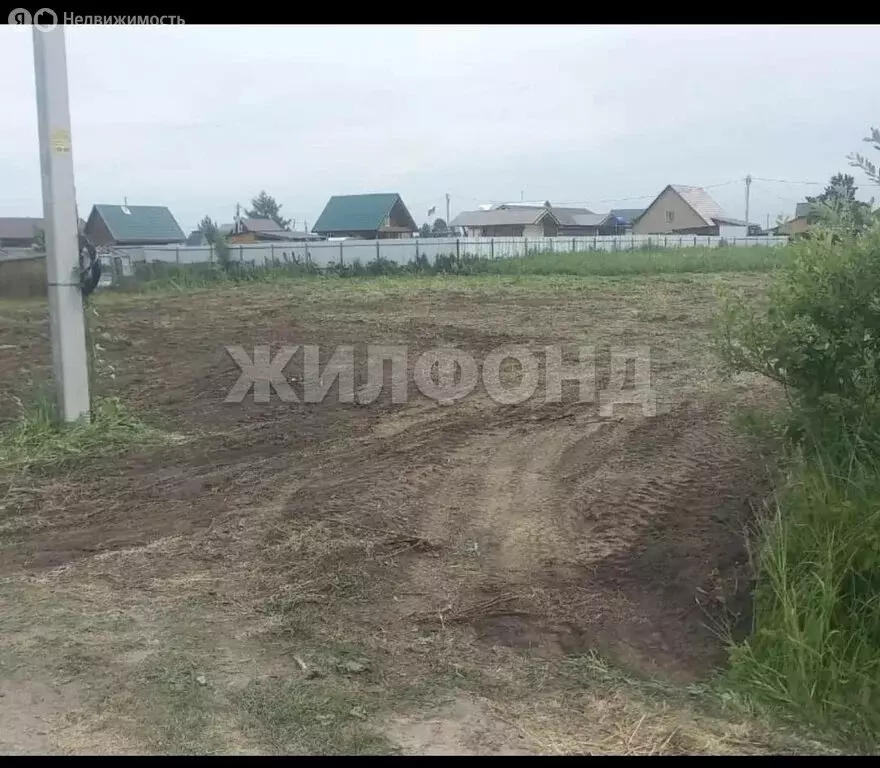 Участок в Новосибирская область, Коченёвский муниципальный район, СНТ ... - Фото 2