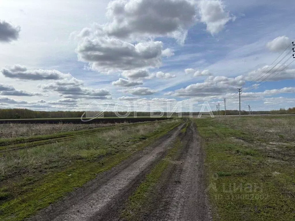 Участок в Тюменская область, Тюменский район, д. Большие Акияры  (8.0 ... - Фото 1