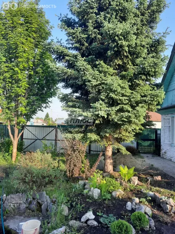 Дом в Искитим, садовое товарищество Строитель, 300 (30 м) - Фото 1