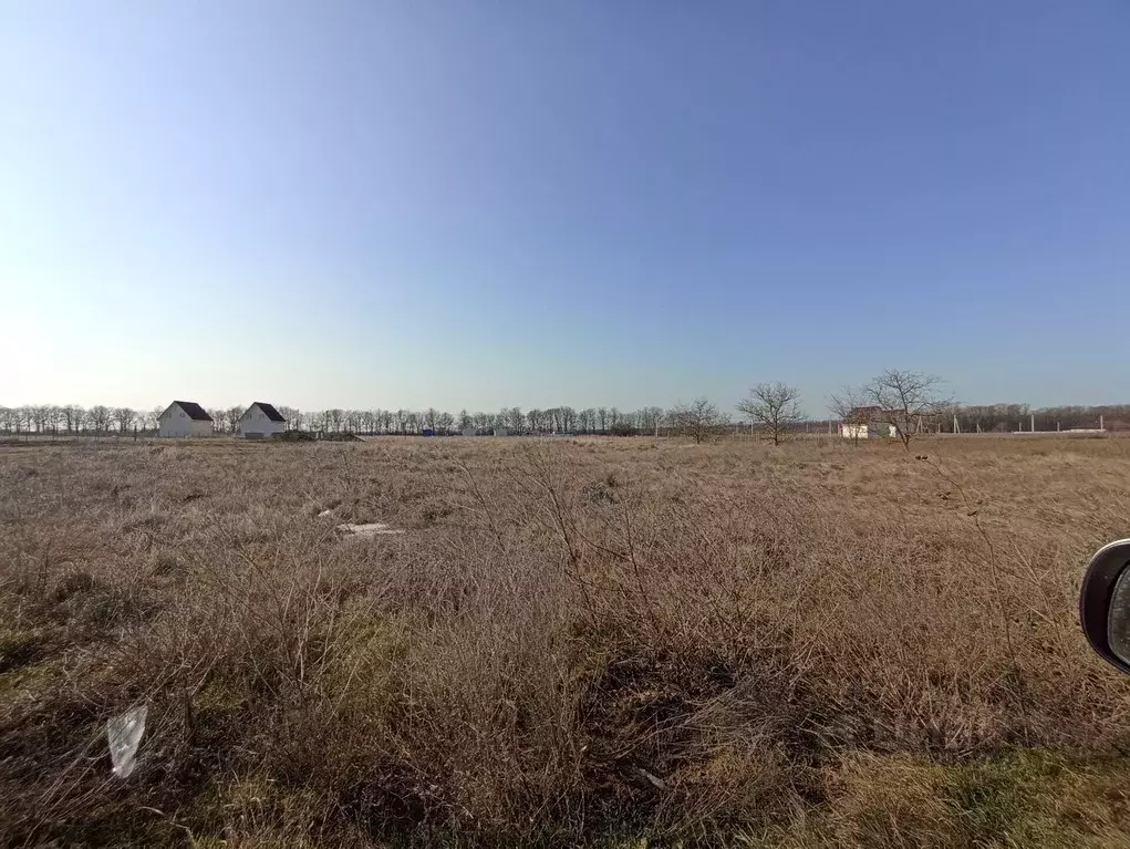 Участок в Краснодарский край, Темрюкский район, Краснострельское ... - Фото 1