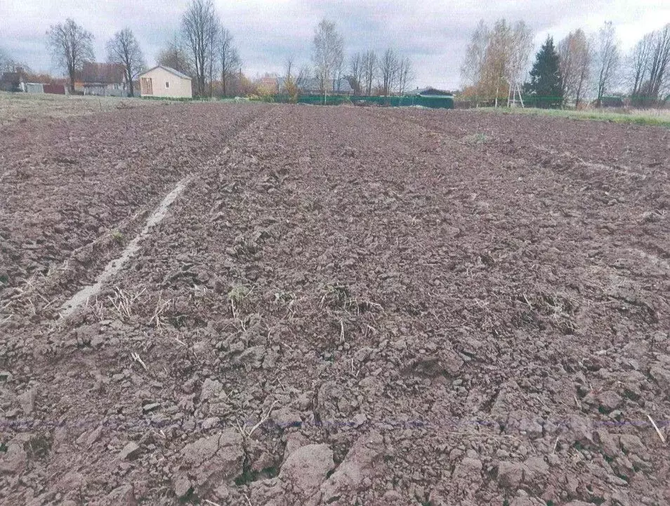 Участок в Московская область, Лотошино муниципальный округ, пос. ... - Фото 1