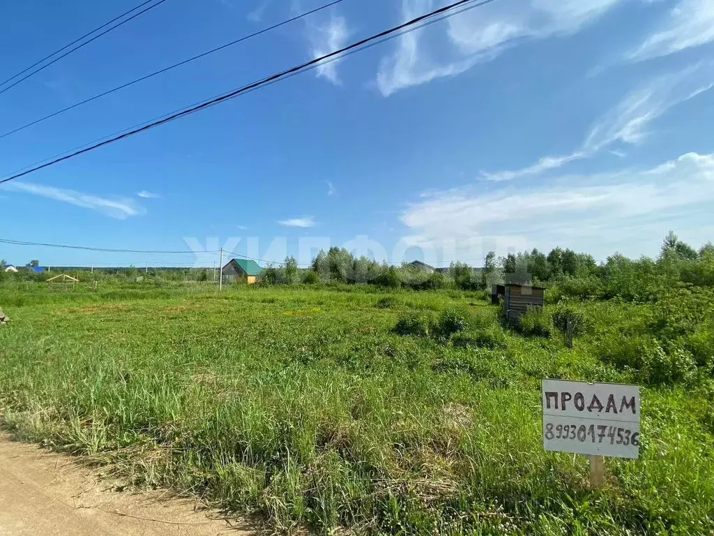 Участок в Новосибирская область, Новосибирский район, Криводановский ... - Фото 1