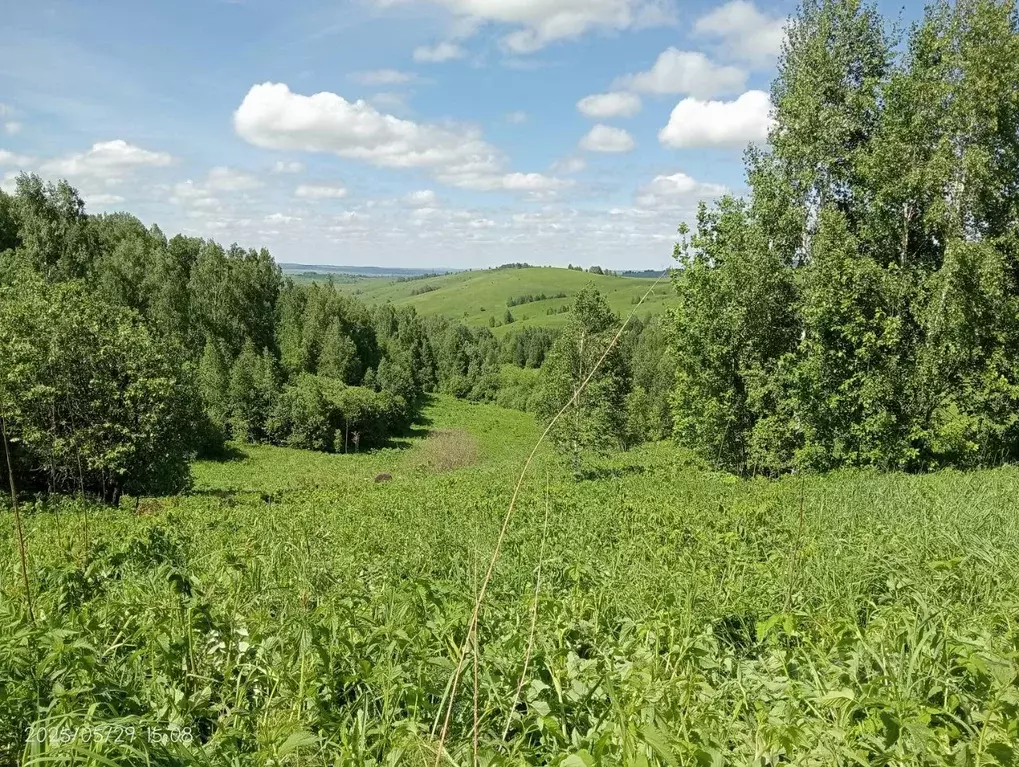 Участок в Алтай, Горно-Алтайск ул. Газпрома, 81 (6.0 сот.) - Фото 2