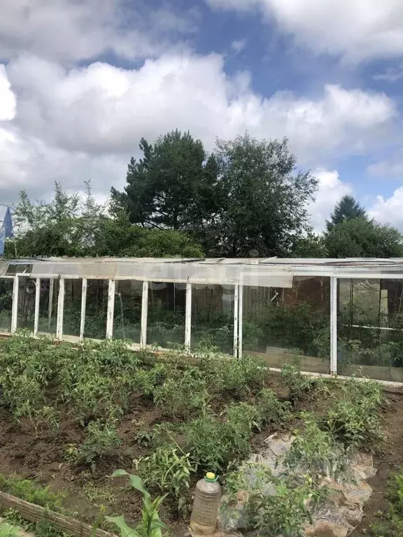 Участок в Амурская область, Благовещенск Ласточка СНТ,  (6.7 сот.) - Фото 1