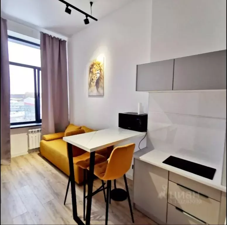 Студия Москва 2-й Амбулаторный проезд, 8С1 (24.0 м) - Фото 1