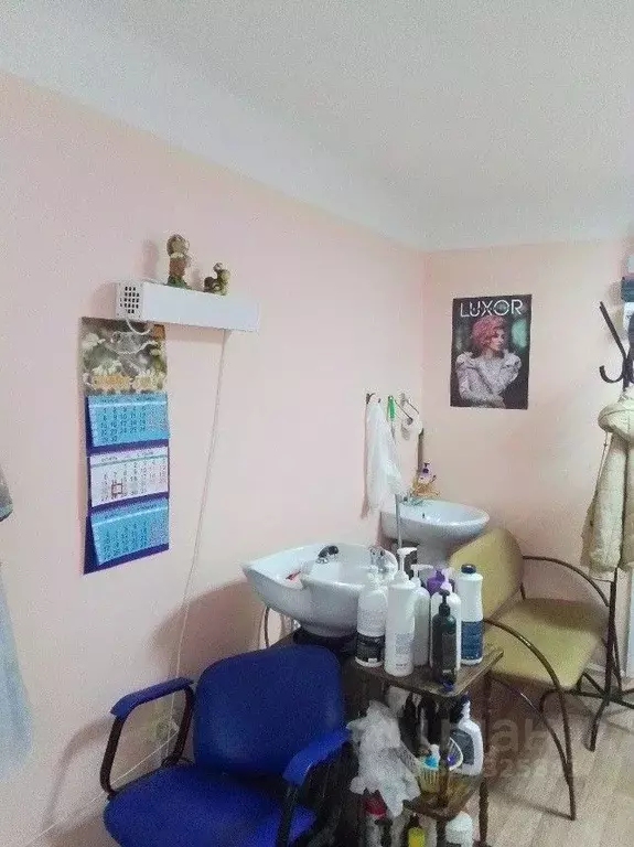 Помещение свободного назначения в Тверская область, Торжок ул. ... - Фото 2