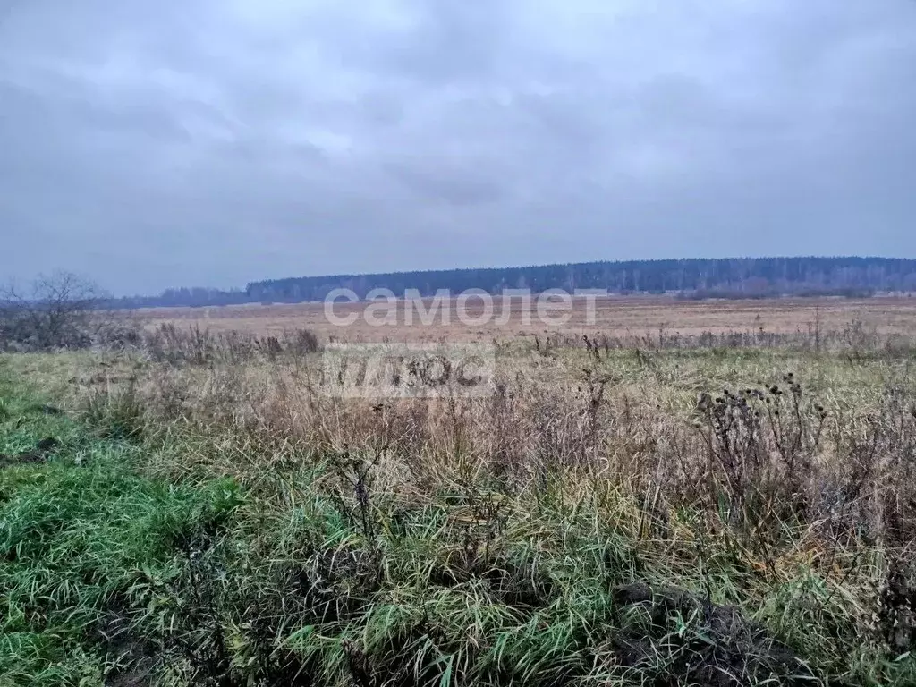 Участок в Московская область, Шатура городской округ, д. Ананкино  ... - Фото 1