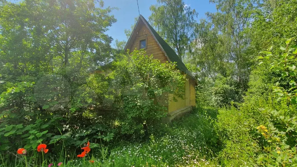 Купить Дачу В Самаре Снт Василек