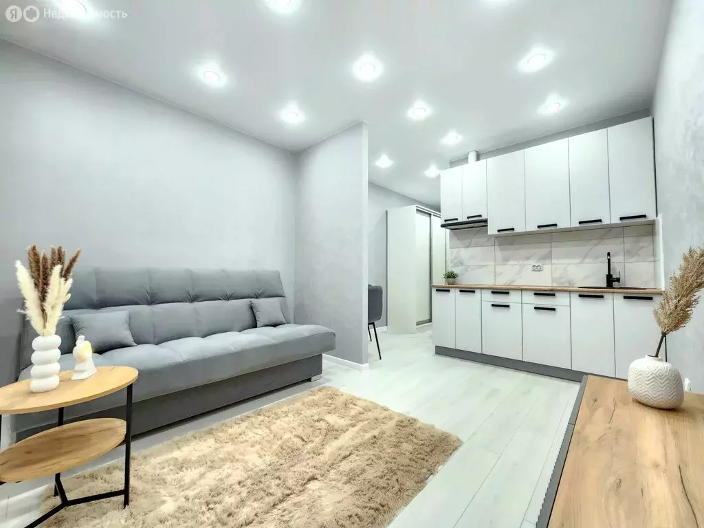 Квартира-студия: Засечное, Радужная улица, 10 (28 м) - Фото 2