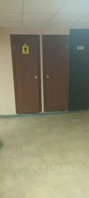 Помещение свободного назначения в Псковская область, Невель пл. Карла ... - Фото 1