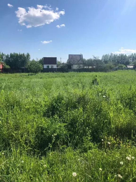 Участок 16 сот. (СНТ, ДНП) - Фото 0