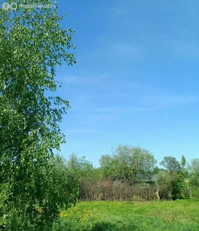 Участок в Костромская область, Красносельский муниципальный округ, ... - Фото 1