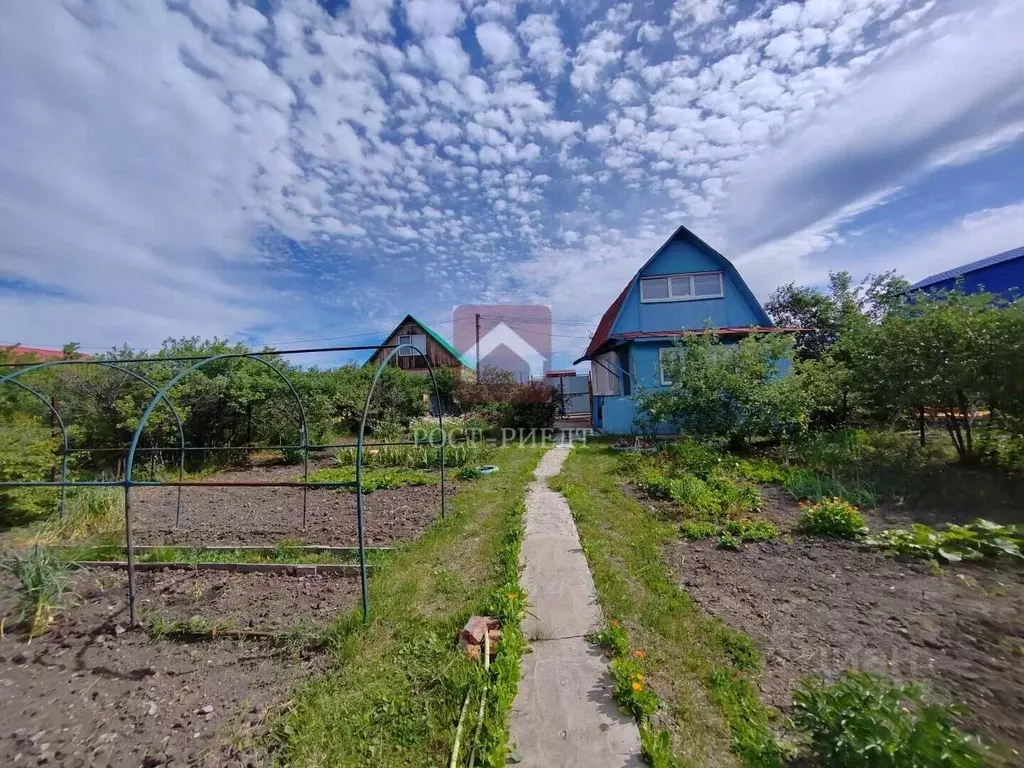 Дом в Саратовская область, Балаковский район, Надежда СНТ  (42 м) - Фото 1
